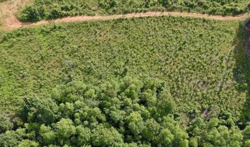 Photo of SOLD!!  52.96 Acres of Hunting Land For Sale in Franklin County VA!
