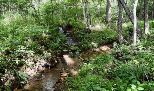 Photo of SOLD!!  52.96 Acres of Hunting Land For Sale in Franklin County VA!
