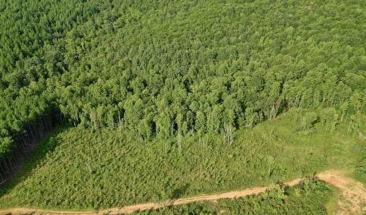 Photo of SOLD!!  52.96 Acres of Hunting Land For Sale in Franklin County VA!