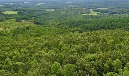 Photo of SOLD!!  52.96 Acres of Hunting Land For Sale in Franklin County VA!