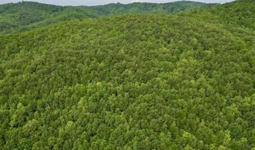 Photo of SOLD!!  52.96 Acres of Hunting Land For Sale in Franklin County VA!