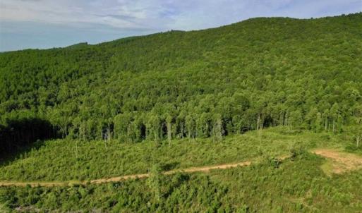 Photo of SOLD!!  52.96 Acres of Hunting Land For Sale in Franklin County VA!