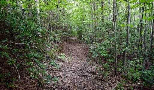 Photo of SOLD!!  52.96 Acres of Hunting Land For Sale in Franklin County VA!