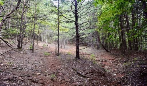 Photo of SOLD!!  52.96 Acres of Hunting Land For Sale in Franklin County VA!