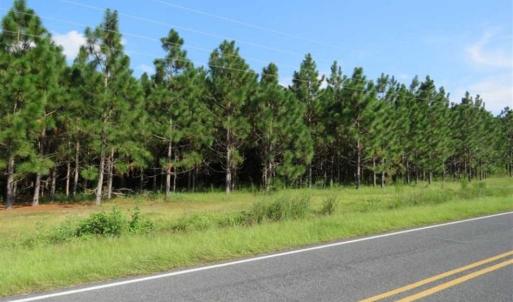 Photo of SOLD!!  26 Acres of Timber Land For Sale in Robeson County NC!