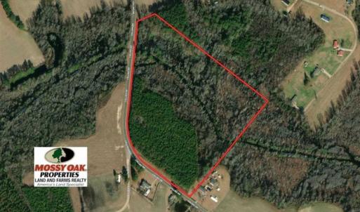 Photo of SOLD!!  26 Acres of Timber Land For Sale in Robeson County NC!