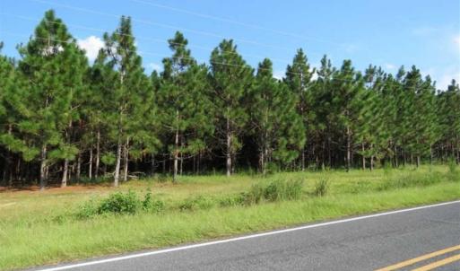 Photo of SOLD!!  26 Acres of Timber Land For Sale in Robeson County NC!