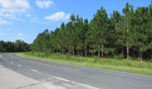 Photo of SOLD!!  26 Acres of Timber Land For Sale in Robeson County NC!