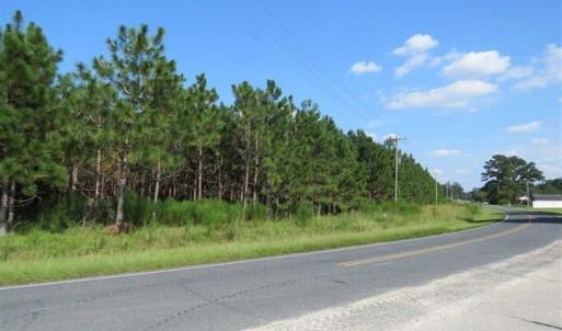 Photo of SOLD!!  26 Acres of Timber Land For Sale in Robeson County NC!