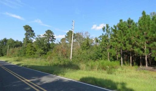 Photo of SOLD!!  26 Acres of Timber Land For Sale in Robeson County NC!