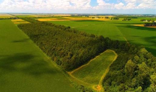 Photo of SOLD!!  44.11 Acres of Hunting Recreational and Timber Land in Beaufort County NC!