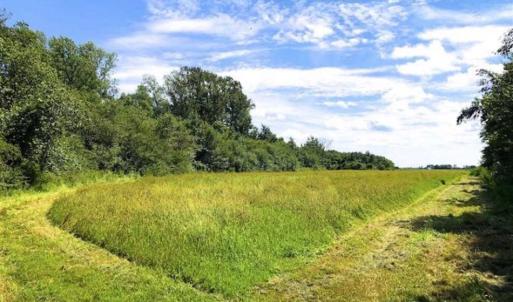 Photo of SOLD!!  44.11 Acres of Hunting Recreational and Timber Land in Beaufort County NC!