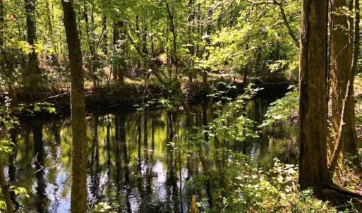 Photo of SOLD!!  44.11 Acres of Hunting Recreational and Timber Land in Beaufort County NC!