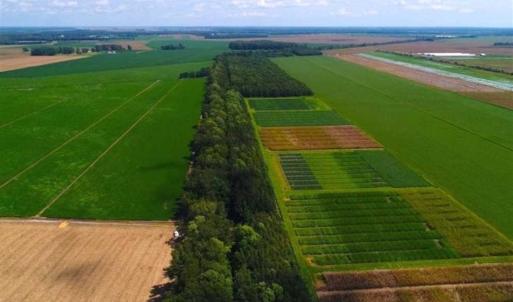 Photo of SOLD!!  44.11 Acres of Hunting Recreational and Timber Land in Beaufort County NC!