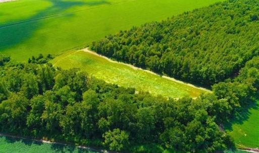 Photo of SOLD!!  44.11 Acres of Hunting Recreational and Timber Land in Beaufort County NC!