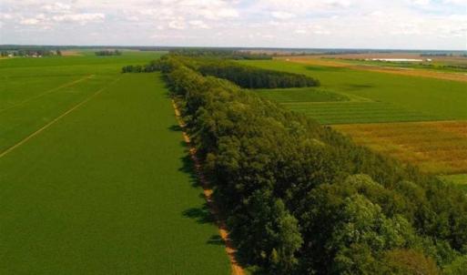 Photo of SOLD!!  44.11 Acres of Hunting Recreational and Timber Land in Beaufort County NC!