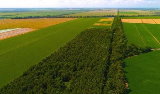 Photo of SOLD!!  44.11 Acres of Hunting Recreational and Timber Land in Beaufort County NC!