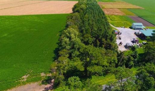 Photo of SOLD!!  44.11 Acres of Hunting Recreational and Timber Land in Beaufort County NC!