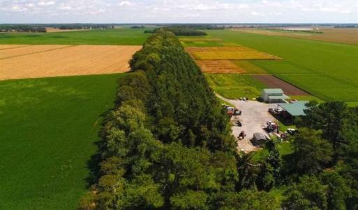 Photo of SOLD!!  44.11 Acres of Hunting Recreational and Timber Land in Beaufort County NC!