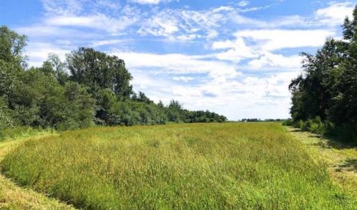 Photo of SOLD!!  44.11 Acres of Hunting Recreational and Timber Land in Beaufort County NC!