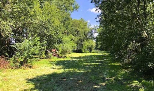 Photo of SOLD!!  44.11 Acres of Hunting Recreational and Timber Land in Beaufort County NC!