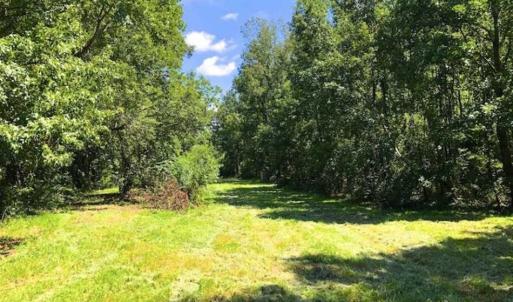 Photo of SOLD!!  44.11 Acres of Hunting Recreational and Timber Land in Beaufort County NC!