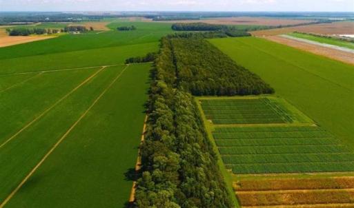 Photo of SOLD!!  44.11 Acres of Hunting Recreational and Timber Land in Beaufort County NC!