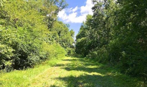 Photo of SOLD!!  44.11 Acres of Hunting Recreational and Timber Land in Beaufort County NC!