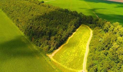 Photo of SOLD!!  44.11 Acres of Hunting Recreational and Timber Land in Beaufort County NC!
