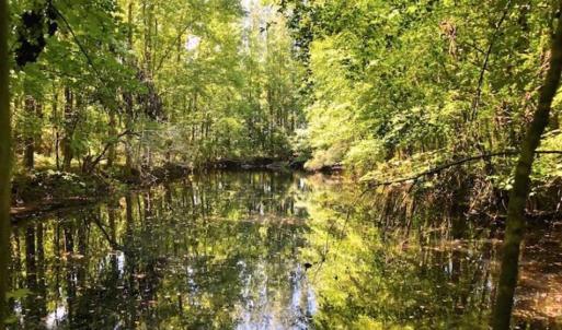 Photo of SOLD!!  44.11 Acres of Hunting Recreational and Timber Land in Beaufort County NC!