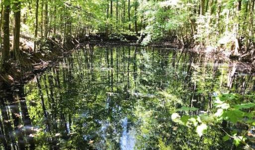 Photo of SOLD!!  44.11 Acres of Hunting Recreational and Timber Land in Beaufort County NC!