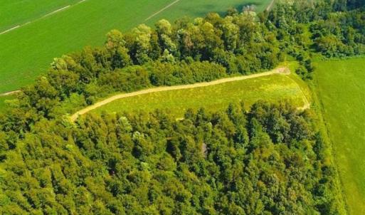 Photo of SOLD!!  44.11 Acres of Hunting Recreational and Timber Land in Beaufort County NC!