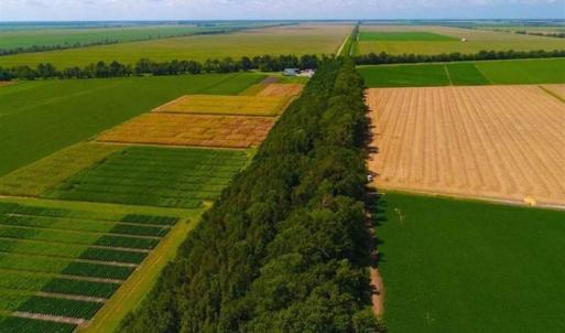 Photo of SOLD!!  44.11 Acres of Hunting Recreational and Timber Land in Beaufort County NC!