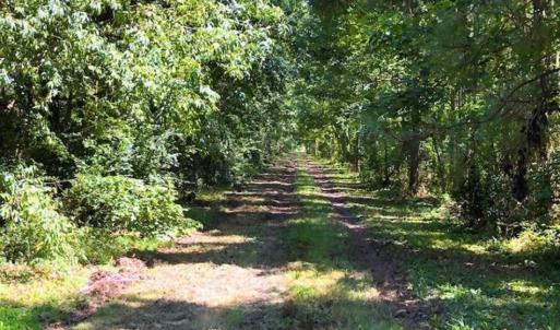 Photo of SOLD!!  44.11 Acres of Hunting Recreational and Timber Land in Beaufort County NC!