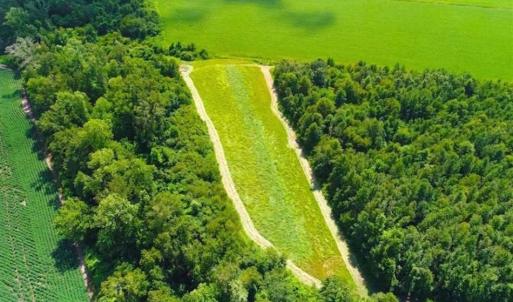 Photo of SOLD!!  44.11 Acres of Hunting Recreational and Timber Land in Beaufort County NC!