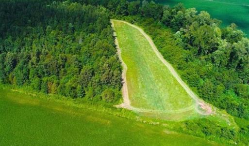 Photo of SOLD!!  44.11 Acres of Hunting Recreational and Timber Land in Beaufort County NC!