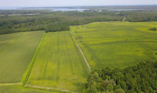 Photo of REDUCED!  97 Acres of Farm and Timber Land For sale in Tyrrell County NC!
