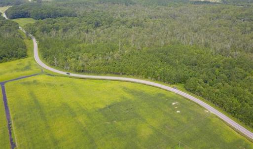 Photo of REDUCED!  97 Acres of Farm and Timber Land For sale in Tyrrell County NC!