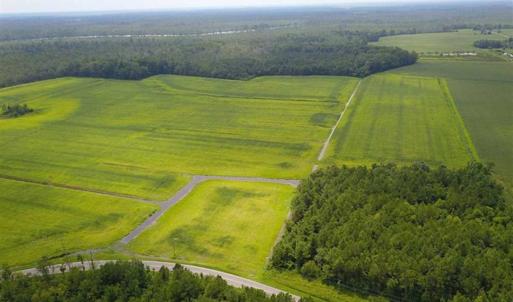 Photo of REDUCED!  97 Acres of Farm and Timber Land For sale in Tyrrell County NC!