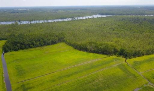 Photo of REDUCED!  97 Acres of Farm and Timber Land For sale in Tyrrell County NC!