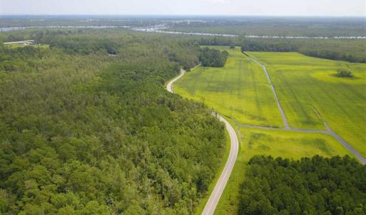 Photo of REDUCED!  97 Acres of Farm and Timber Land For sale in Tyrrell County NC!