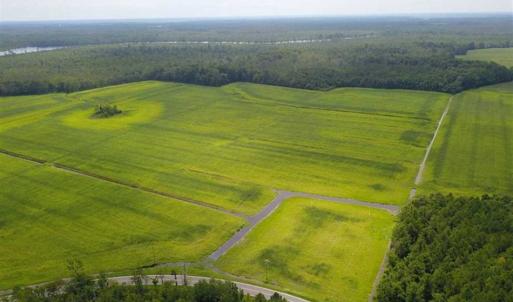 Photo of REDUCED!  97 Acres of Farm and Timber Land For sale in Tyrrell County NC!