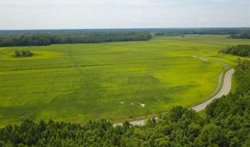 Photo of REDUCED!  97 Acres of Farm and Timber Land For sale in Tyrrell County NC!