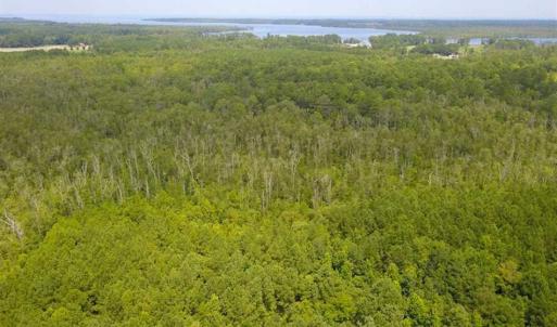 Photo of REDUCED!  97 Acres of Farm and Timber Land For sale in Tyrrell County NC!
