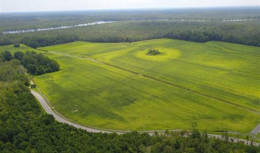 Photo of REDUCED!  97 Acres of Farm and Timber Land For sale in Tyrrell County NC!