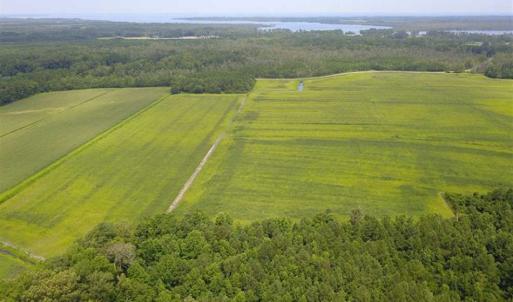 Photo of REDUCED!  97 Acres of Farm and Timber Land For sale in Tyrrell County NC!