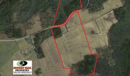 Photo of REDUCED!  97 Acres of Farm and Timber Land For sale in Tyrrell County NC!