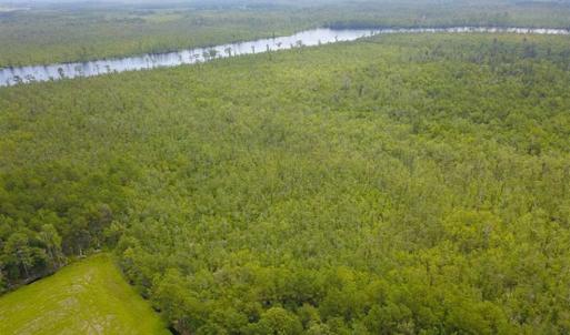 Photo of REDUCED!  97 Acres of Farm and Timber Land For sale in Tyrrell County NC!