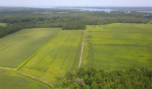 Photo of REDUCED!  97 Acres of Farm and Timber Land For sale in Tyrrell County NC!