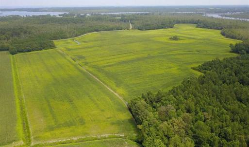 Photo of REDUCED!  97 Acres of Farm and Timber Land For sale in Tyrrell County NC!